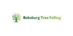 Boksburg  Tree Felling