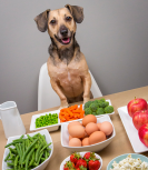 Organic Bone