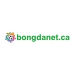 BongdaNET