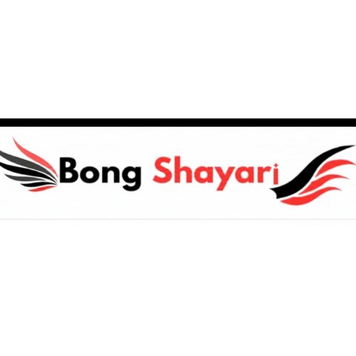 Bongshayari's Link Centre