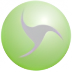 Boomerang Enterprises