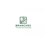 Branches Tree Service Kempsey