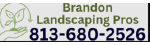 Brandon Landscaping Pros
