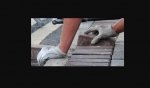 Brevard Pro Pavers