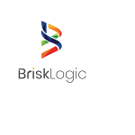 brisklogic is software development company in indi