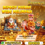 browin4d