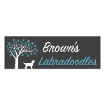Brown's Labradoodles