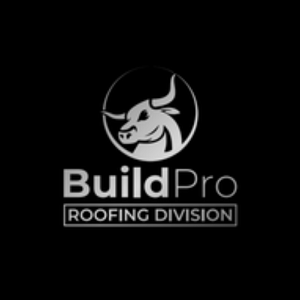 BuildPro Construction