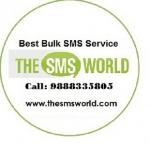 The SMS World