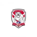 Bulldog Locksmith &amp; Security - Wylie