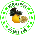 Cong ty Thuong mai Tong hop Xanh Ha