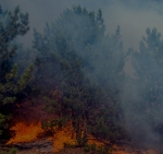 CAMP FIRE LAWSUIT ATTORNEYS