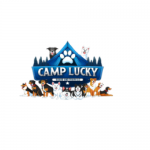 Camp Lucky Board and Train (San Antonio TX)