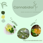 cannabidiols
