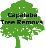 Capalaba Tree Removal
