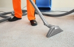 Carpet Cleaning Coorparoo