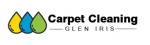 carpetcleaninggleniris