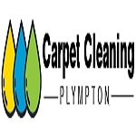 Carpet Cleaning Plympton