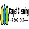 Carpet Cleaning Prospect