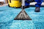 Carpet Cleaning Paralowie