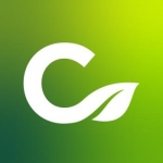 Cawoods