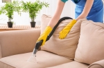 CBD Couch Cleaning Sunshine Coast