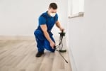 CBD Pest Control