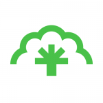 Ceiba