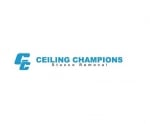Ceiling Champions Richmond Hill