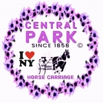 CENTRAL PARK HORSE CARRIAGE