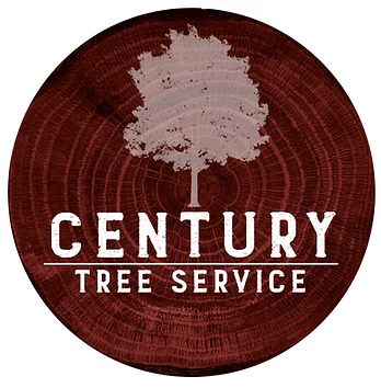 Century Tree Service