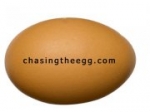 chasingtheegg