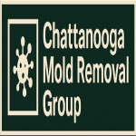 Chattanooga Mold Removal Group