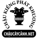 www.chaucaycanh.net