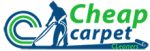 carpet cleaner