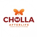 Cholla Afterlife