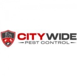 City Wide Bee Control Melbourne