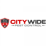 City Wide Moth Control Sydney