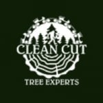 Clean Cut Tree Experts