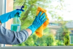Mississauga Window Cleaning
