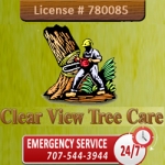 Clear View Tree Care