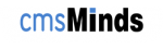cmsMinds - Web Design & Development Company