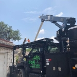 C&N Tree Service