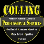 Colling Professional Services