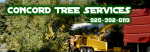 Concord Tree Services