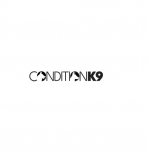 Condition K-9 Dog Training