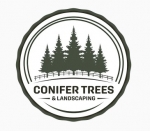 Conifer Trees &amp; Landscaping