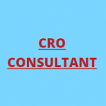 Conversion Rate Optimization Consultant