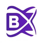 blockchainX