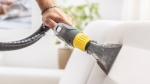 Couch Cleaning Ipswich